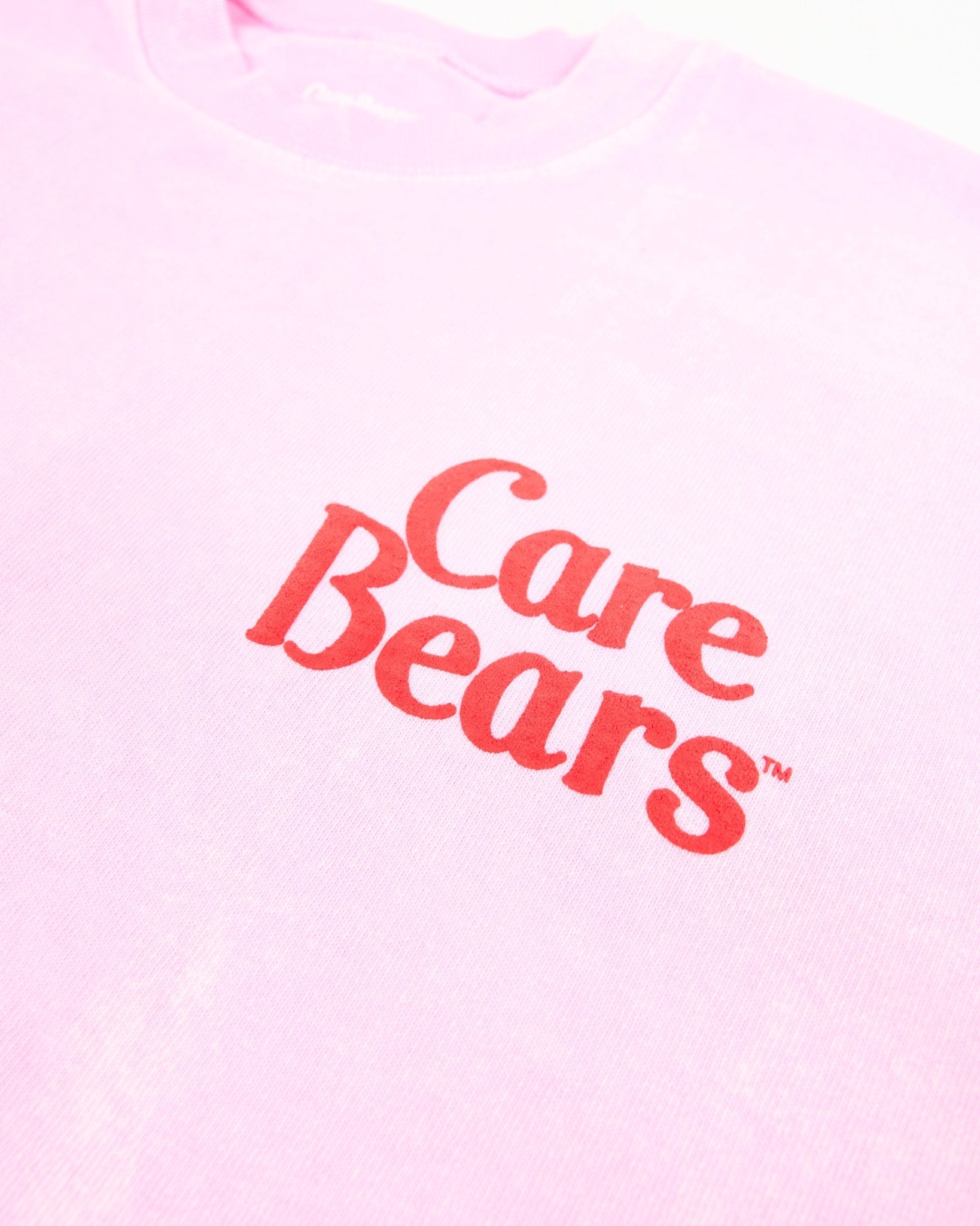 Care Your Heart Out, Love - a - Lot Bears™ Care Bears™ Classic Spirit Jersey® 3